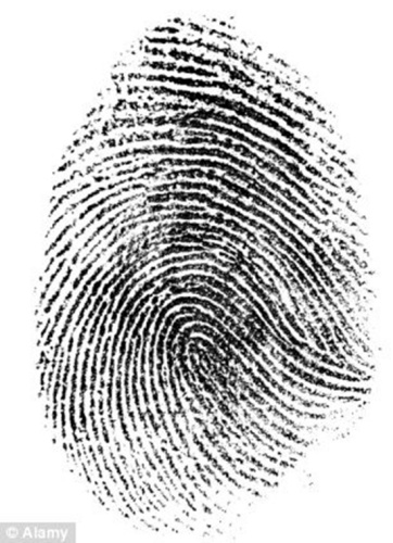 Ӣ��ר��ָ��ָ�Ƽ�����©����������У�ͼ��