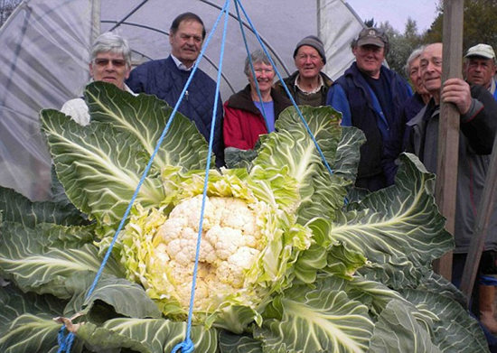 �����ֳ��������˻�27���ﴴ�����¼����ͼ��