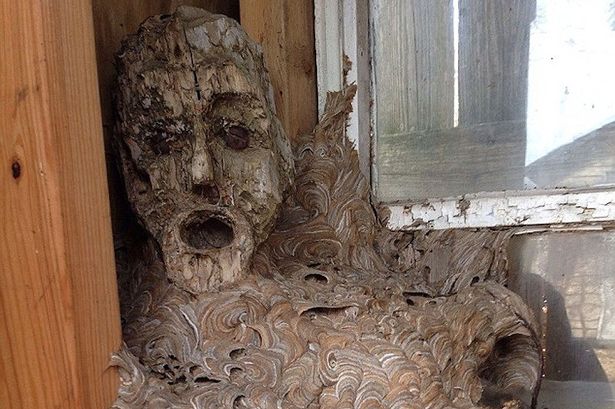 ��һ����С���ֳ���Ʒ��ѿ��ƿֲ�������ͼ��