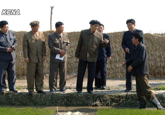 ���������ӷ���ʵ�ؿ���ˮ���봺�����