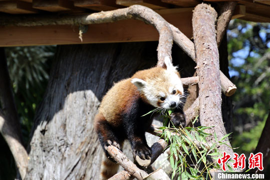 �й�ϲ�����ź���è�仧�����ɽ�ɽ