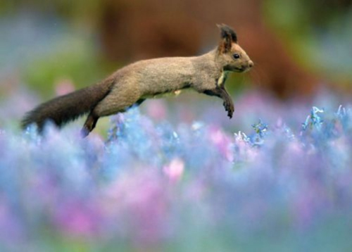 С�����ڻ��件����ʳ�鶯�ɰ��������ã���ͼ��