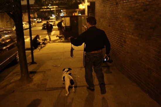 �������������𡰹�ץ���ӡ���������飨ͼ��