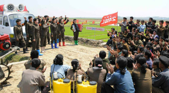 朝鲜举国动员插秧保粮供文宣队田间鼓劲(图)