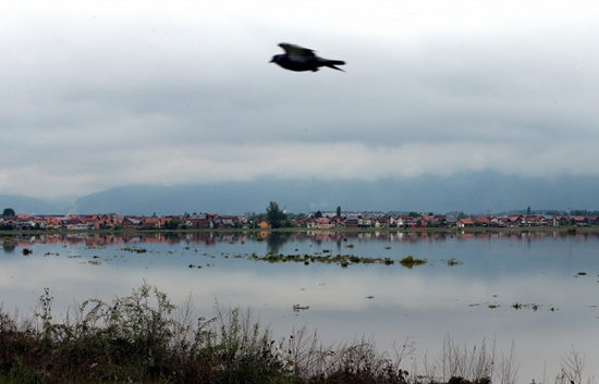 ���ں�ˮ�����35������ȫ���ķ�֮һ���ͣ�ͼ��