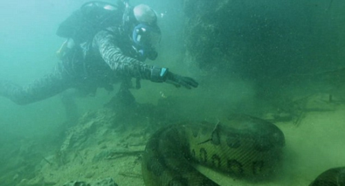 Ӣ��������������ѷ��¼�ƽ�Ŀ��6�׳��ֲ�����