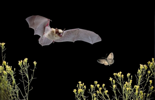 ��Ӱʦ�ڰ��п��ץ������ʳ�ͳ�����ˮ˲��