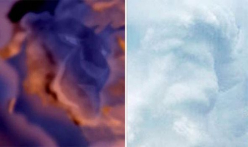 Ӣ��һŮ��ץ�������Ʋʿ���ʨ����ľ��ɳ��ͼ��