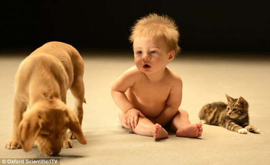 别在宝宝面前说“脏话”婴儿语言理解能力惊人