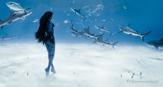 ��Ůˮ��������Ⱥ���裺�����������Ľ��ţ�ͼ����4��