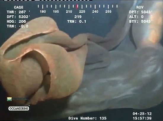 ī���������������Ĥ״�������ݱ�ȷ�ϣ�ͼ��