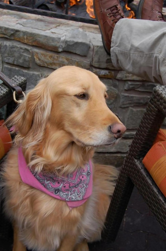 ��ë��Ȯ��ʧ������ԭ�ص����˺��յ��žۣ�ͼ��