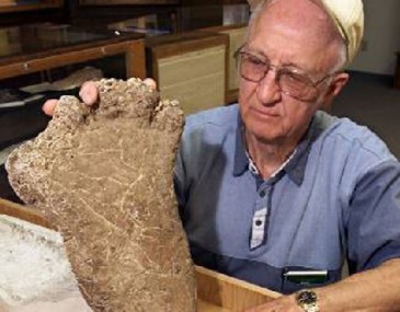 ţ���о�֤�������ϲ��ޡ���Ź֡����������