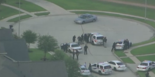 ����˹��ǹ����������Ͷ������ԭ��ϵ��ͥ����