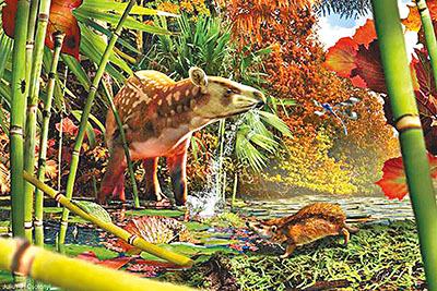 加拿大史前刺猬化石出土身长仅有5厘米(图)