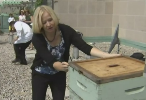 ���ô��������˲ιۻ�԰�����ݴ��ݵ�����ԣ�ͼ��