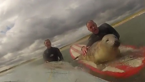 Ӣ��С������������һͬ�����治����׷�Ϻ�̲