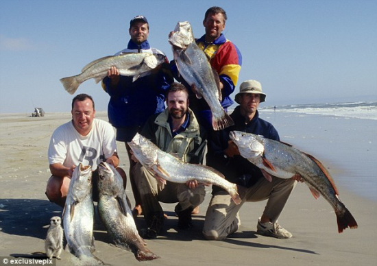 ׳�����޵�����ս��ƷСè�������롱���ȣ�ͼ��