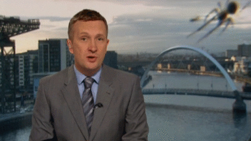 Ӣ����ֱ̨��ʱ��֩����־�ͷǰ�������棨ͼ��