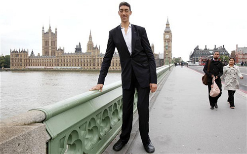 ���ߴ�����ʤ����������������ǵ���ʵ���ͼ����3��