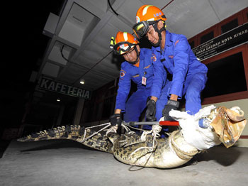 ����������������ľ����������ӳɹ�Χ����ͼ��