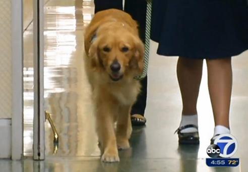 �����ɽ�ɽ��Ժ������ԮȮ������ο�ܺ��ߣ�ͼ��