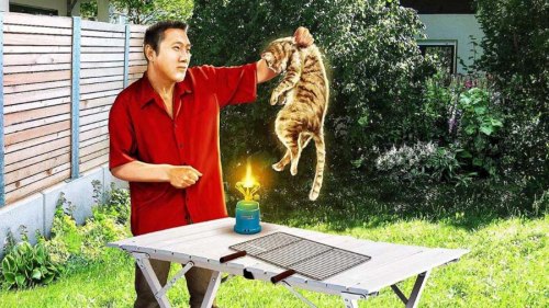 �¹�С�ǳ���èƵʧ�����ӳ��ϳԵ�30��ֻ��ͼ��