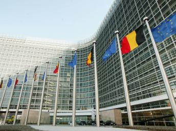 ����ʱץ������������ǻع��ֲ�����