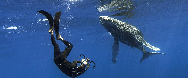 ����Ǳˮ��ˮ����Ĩ�㾨����ɳ��ＸСʱ��ͼ��