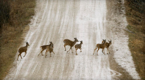 ��ý��¹Ⱥϲ�����������ȫ������ҵ�޴���ʧ