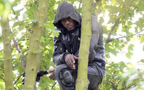 笨贼逃跑不成爬上树对峙导致火车停运损失巨大