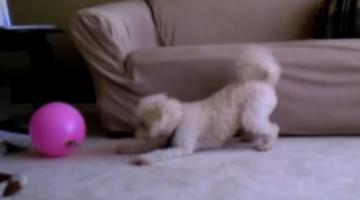 �����������򡰾�һ��ս��ģ��������������ͼ��