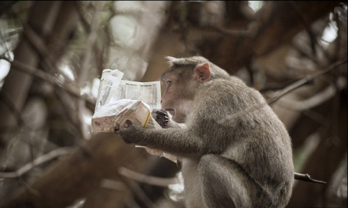 ӡ��⨺����͡�������ֽ�Ķ����ű���ࣨͼ��