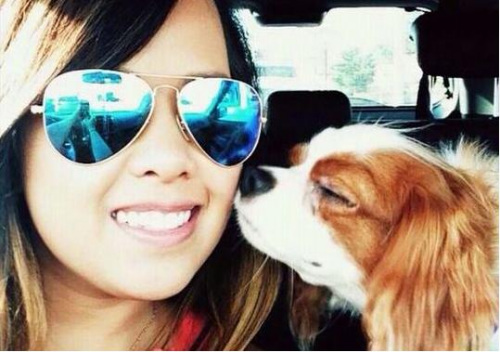 ������λ��Ⱦ��������ʿ�������תԺ��������