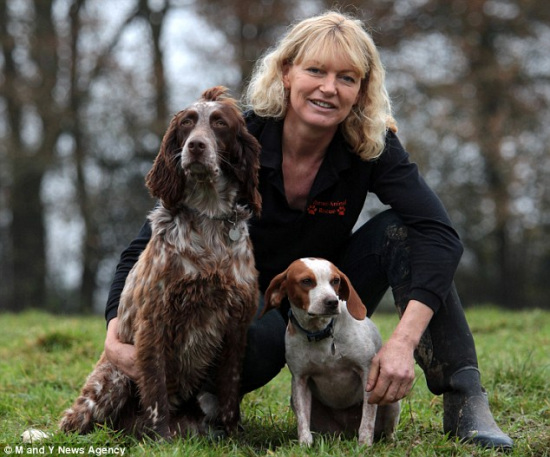 С��Ϊ������ͬ���ػ�������Ӱ���뽨�������