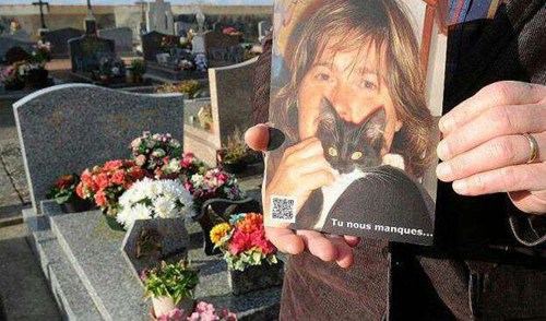 ɨĹҲҪ�߿Ƽ���ɨ��Ĺ����ά���֪Ĺ����ƽ