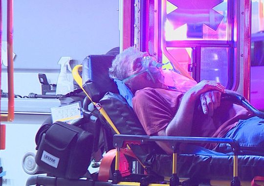 ����һ���˹�Ԣ�賿����������2��3�ˣ�ͼ��