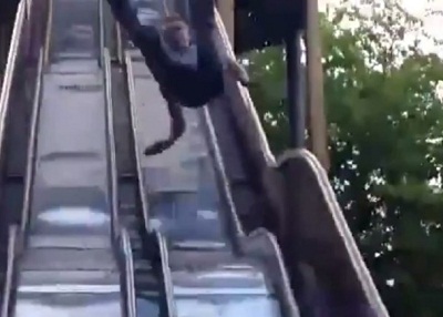 ������ս�����λ���������̫����շ�׹��