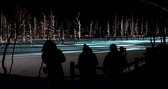 �ձ��������i�ص���λ�����ӳ�ն�ҹ��ͼ��