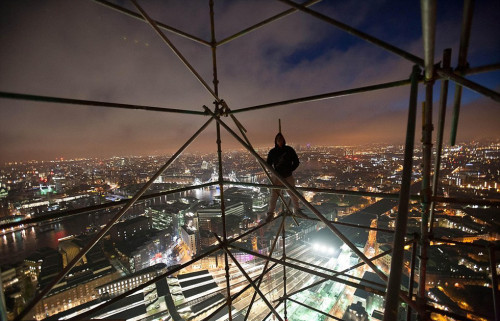 Ӣ��ľ��������֩��������Ϊ�վ����ݣ���ͼ��