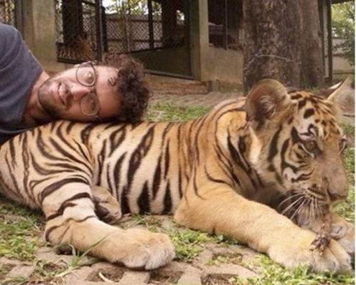 ����2015�겿���·�����Ч�����ϻ�����Υ����ͼ��