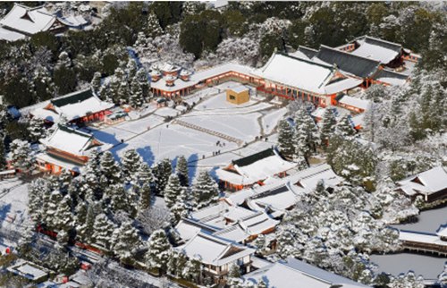 �ձ����ӭ��ѩ���������ˡ����̿�����Ӱ��