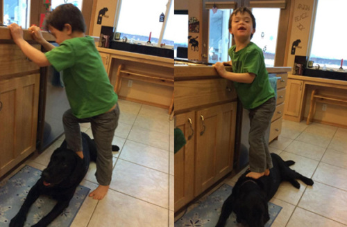 ����ǰ�ݳ�����ɹ���Ӳȹ�������ߣ���ͼ��