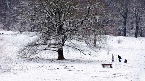 德国各地普遍降温气象部门测得史上最低气温