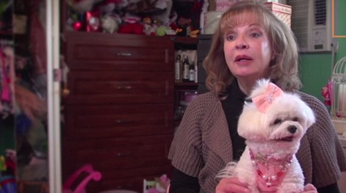 ŦԼ���Ű��������ù����̳а�����Ԫ�Ų���ͼ��