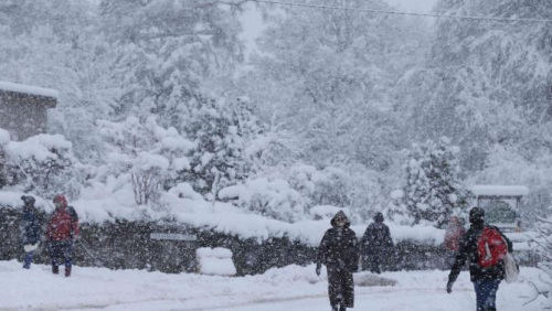 �ո����ߵ����µ�������12�ȳɽ����һҹ