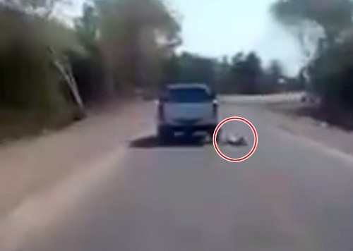 ̩����ĸ�ݳ��������������ˤ�������Բ�֪