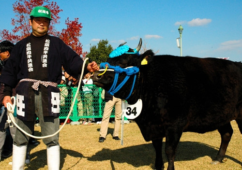 日本推出最想吃牛肉排行榜松阪牛居首(图)