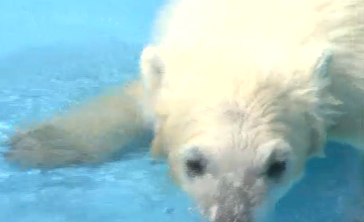 �ձ�һ�����ܱ����״���ˮ��ˣѧϰ��Ӿ��ͼ��