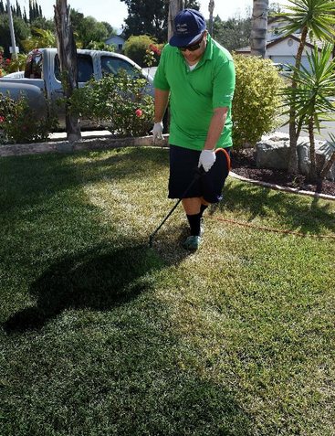 ������������4������񽫲�ƺ�����ɫ��ͼ��